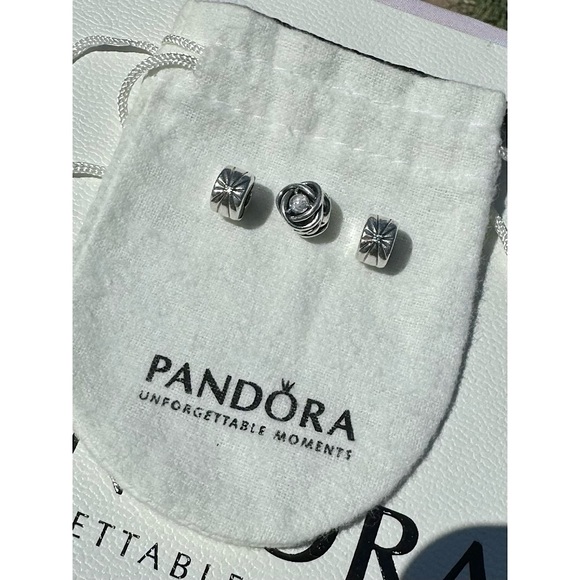 PANDORA ‘Memories Bracelet’ w/ 3 Charms, Size 8.3”L - Picture 3 of 12